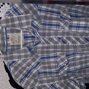 Short sleeve button down